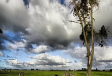 殡葬服务满意度测评新规实施，聚焦家属真实感受