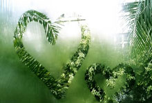 殡葬领域发布6项新标准，守护逝者尊严